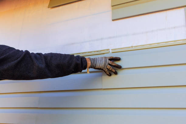 Best Siding Maintenance  in Marshall, MO